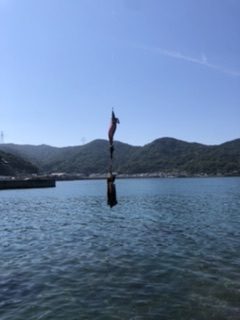 エギングしてきました