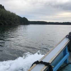 今年初の筏釣り