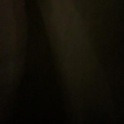 イカ釣れました😆