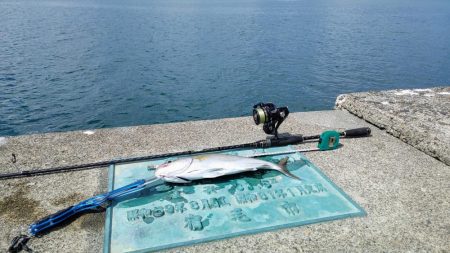 今日も安定のネイリ(苦笑;)