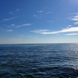 ジグサビキでシーバス