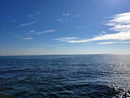 ジグサビキでシーバス