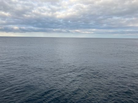 久しぶりに青物が釣れましたが