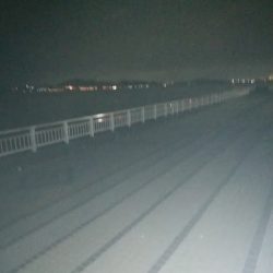 ぶら～っと夜釣り