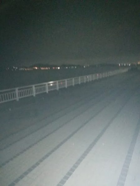 ぶら～っと夜釣り