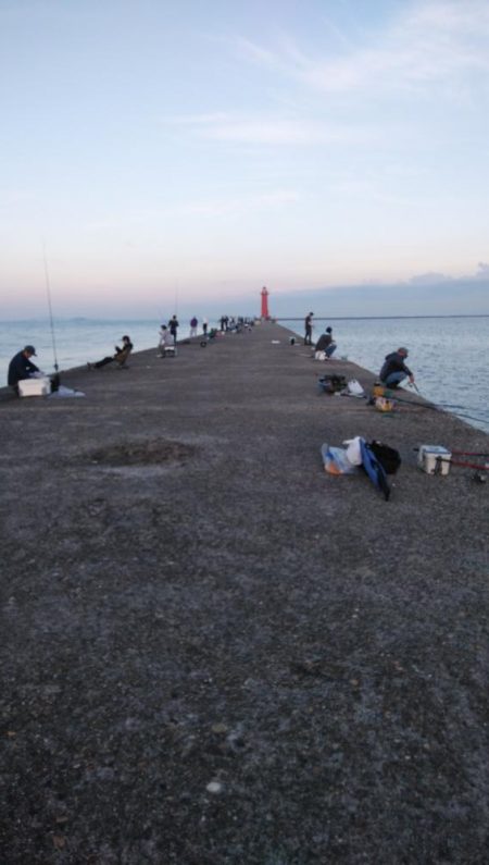 良型キスが釣れました