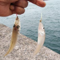 活性下げた播磨新島のキス