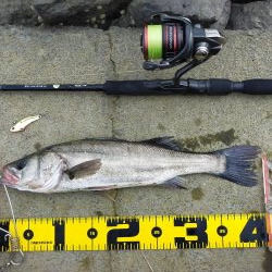 2匹合わせてランカー✌️😁