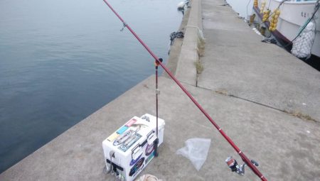 江井ヶ島のキス調査