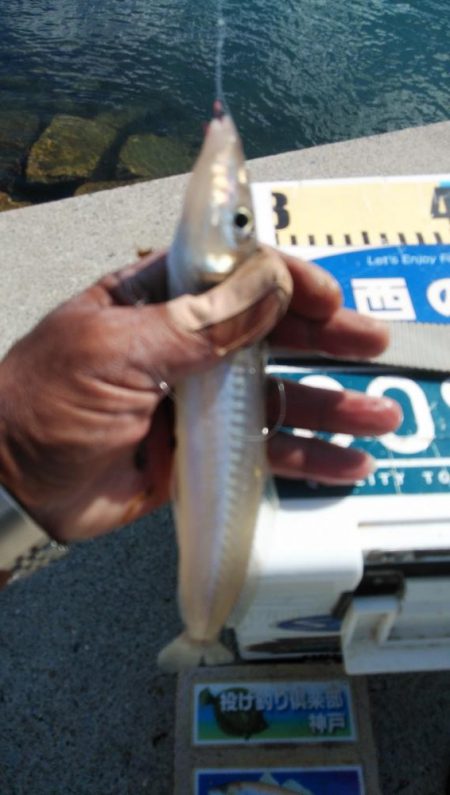 クレーン船帰港により撃沈しました