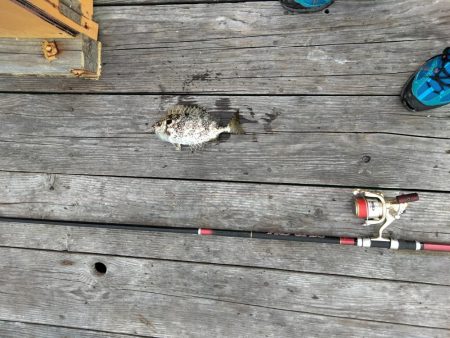 フカセ‥最高ですネ・・