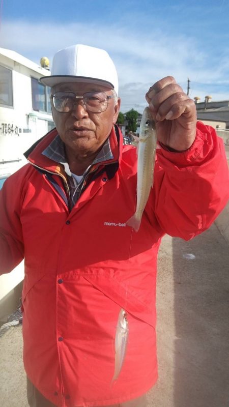 江井ヶ島のキス調査