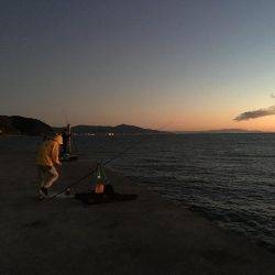 水曜日の小潮釣果