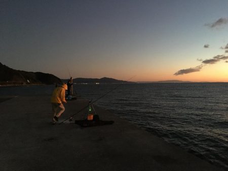 水曜日の小潮釣果