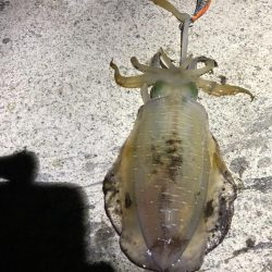 2022 佐渡ヶ島エギング 27回目【10月12日】