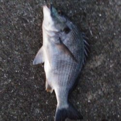 人ゴミさけて！