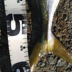 久しぶりです！