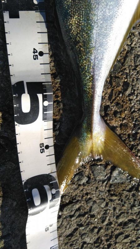 久しぶりです！