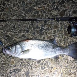 荒れ気味のコンディションにて