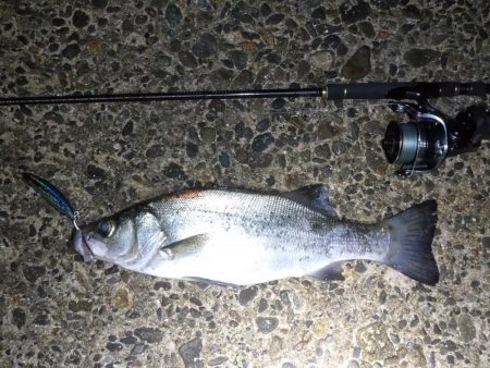 荒れ気味のコンディションにて