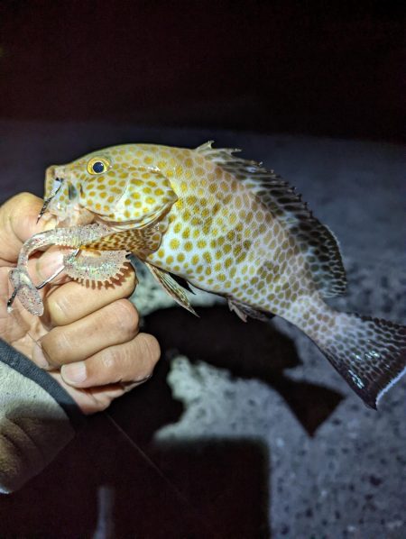 ここでも小さいながらも本命ゲット