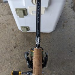 カワハギに夢中