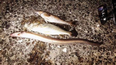 海の中でもハロウィンパーティー