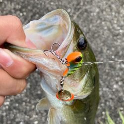 津風呂湖おっかパリ