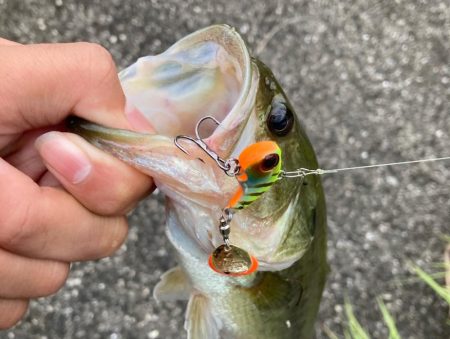 津風呂湖おっかパリ