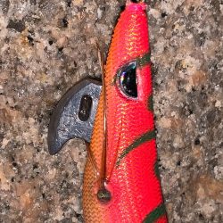 久しぶりエギング