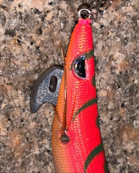 久しぶりエギング