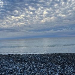 困った時のジギングサビキ