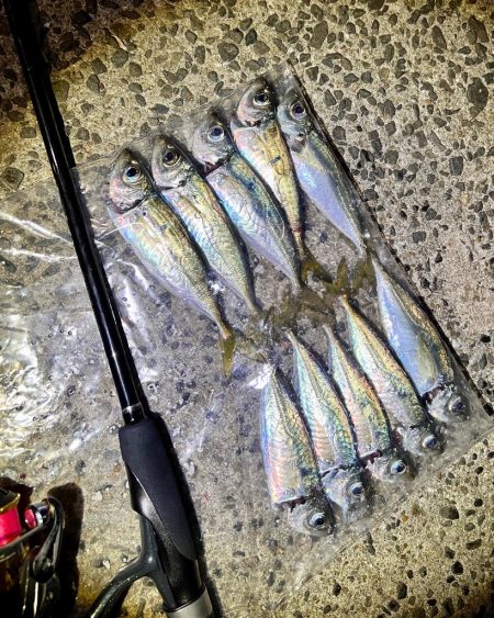 女子2人でエギング&アジング♪