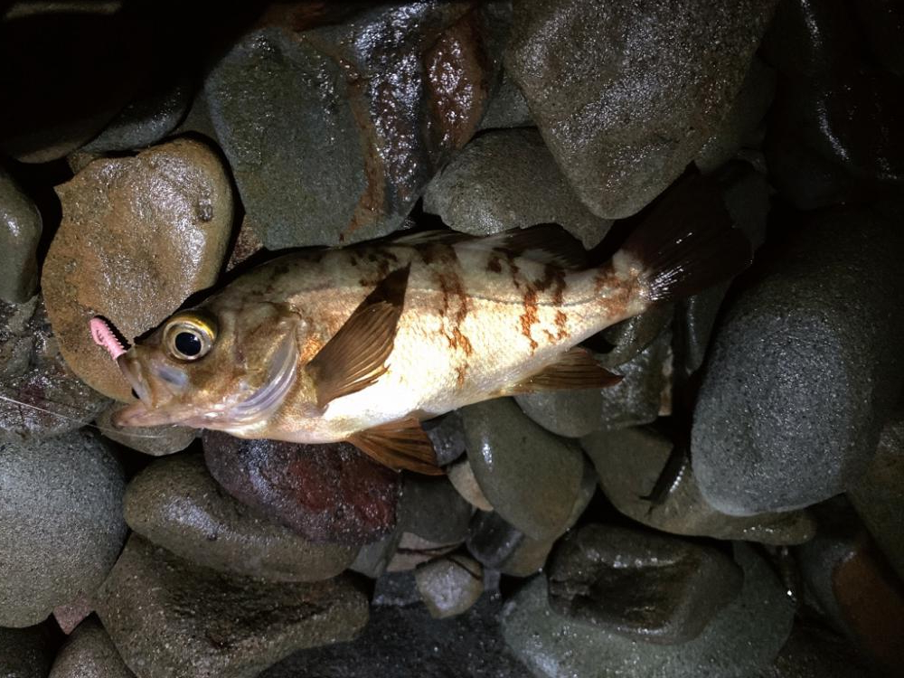 フロートアジング