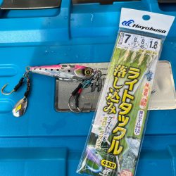 ジギング&落とし込みでシオ連発