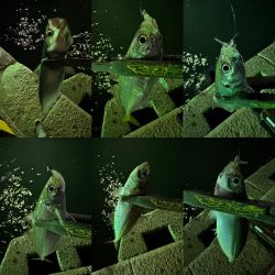 仕事帰りの息抜き