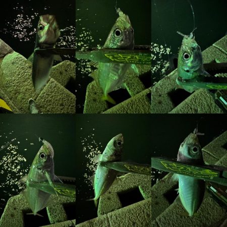 仕事帰りの息抜き