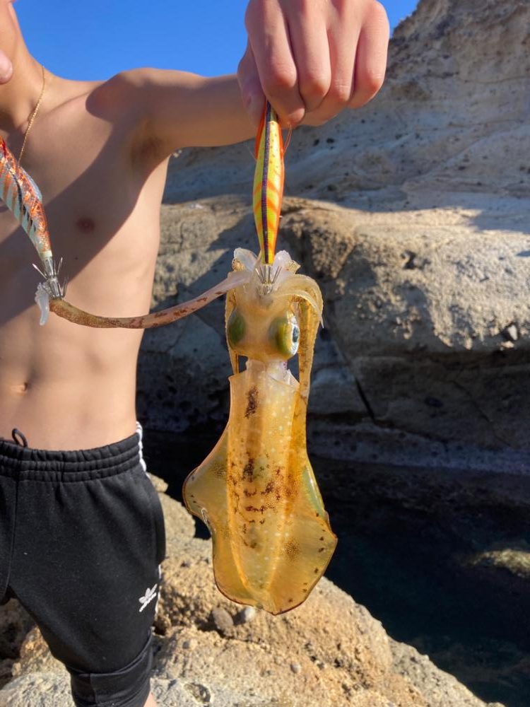 弾丸日本海ツアー