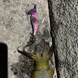 仕事終わり短時間勝負！！