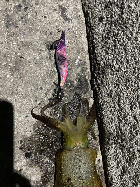 仕事終わり短時間勝負！！