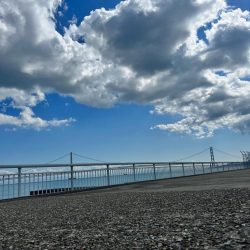 激渋の中の1本、、