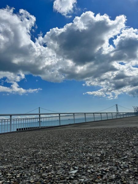 激渋の中の1本、、
