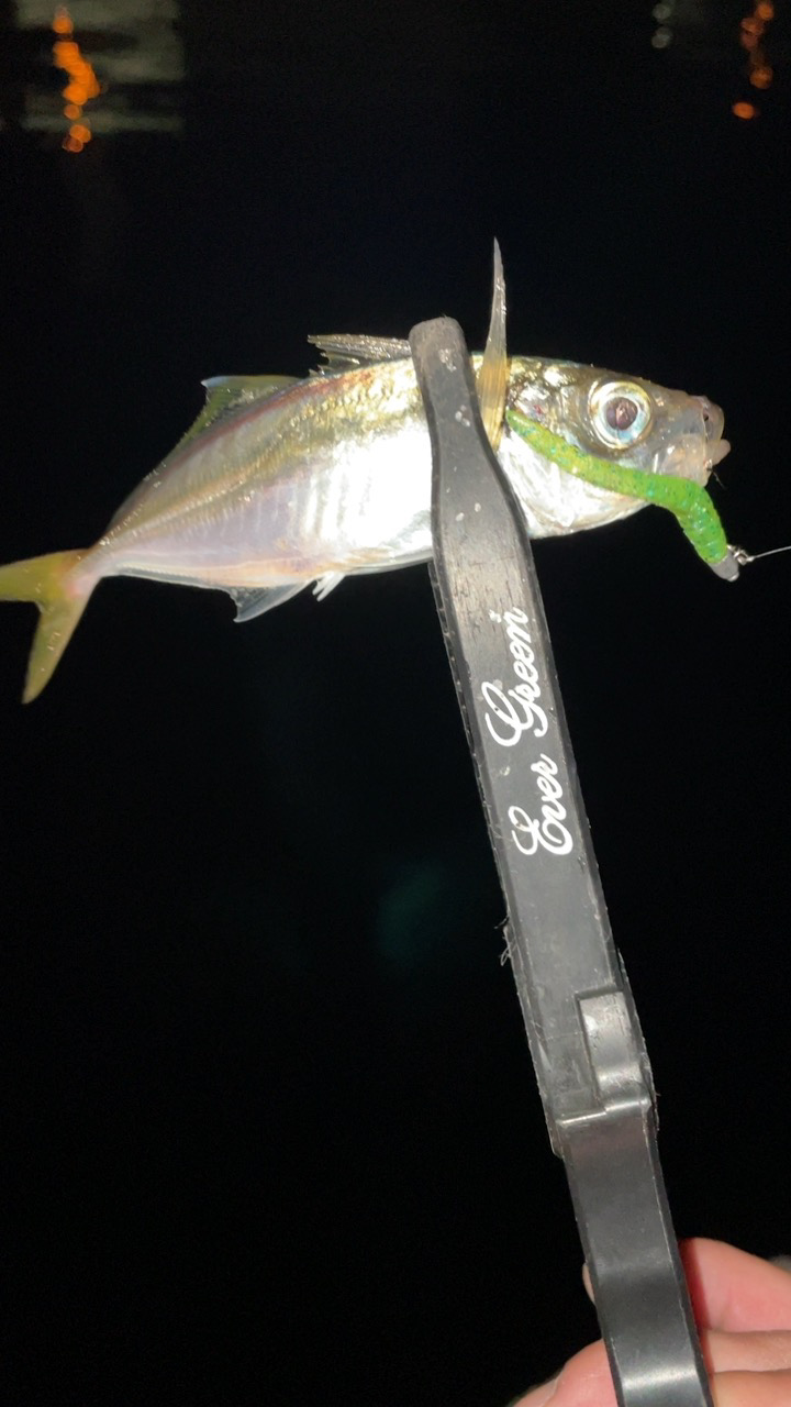 オンスタックルアジつくしSTモニター