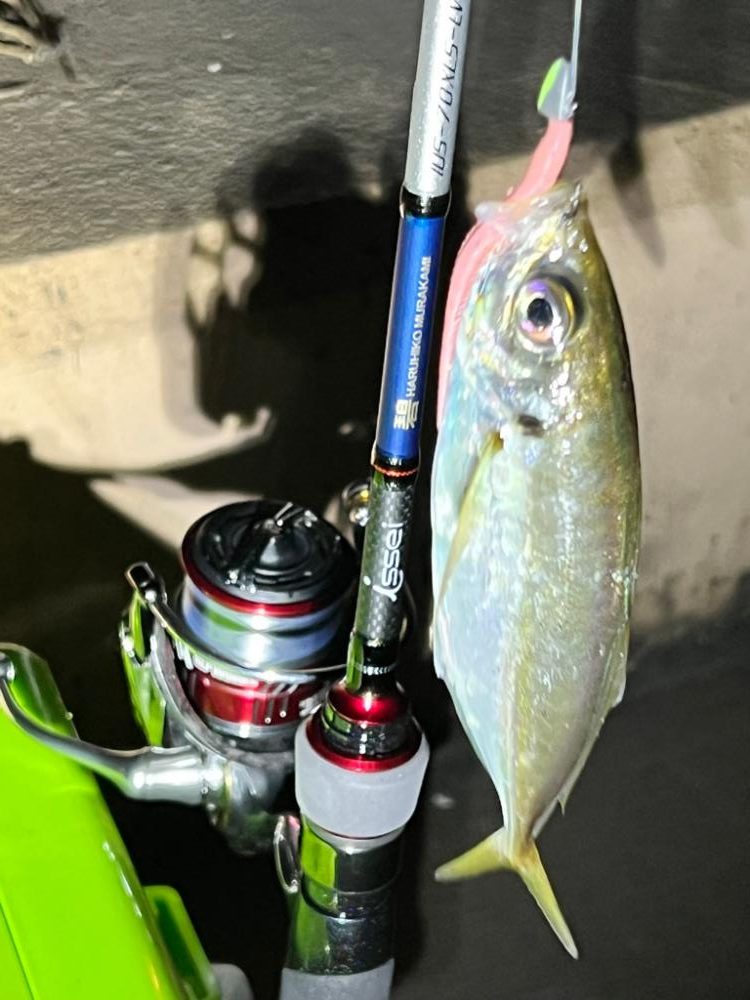 おにゅーなロッドで出撃!!