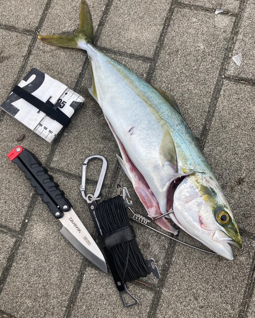 激混み水潮ん中。ギリハマチ43cm。。