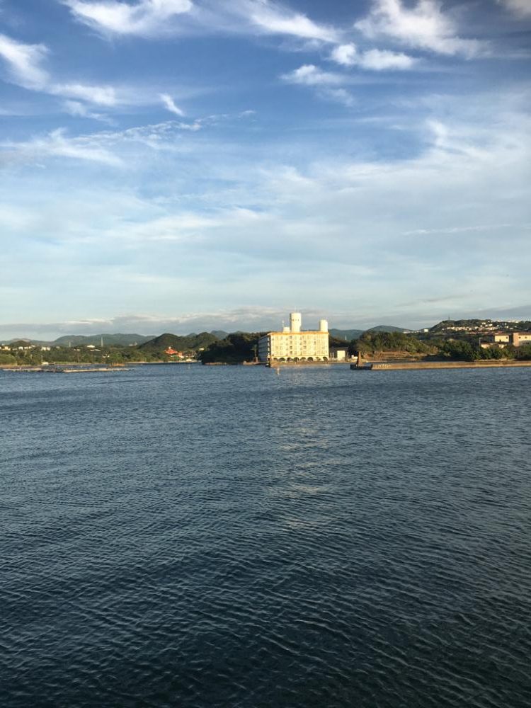 オオモンハタばかりですね、、、