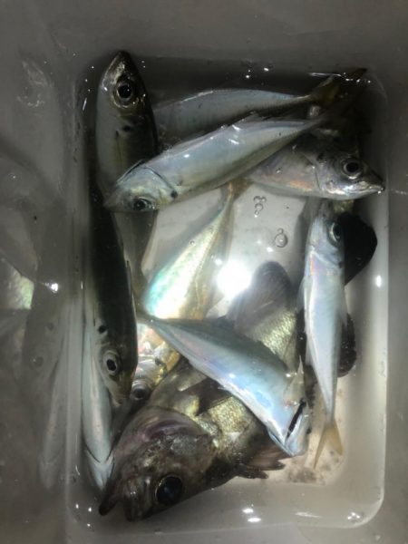 ライトゲーム弁当のために