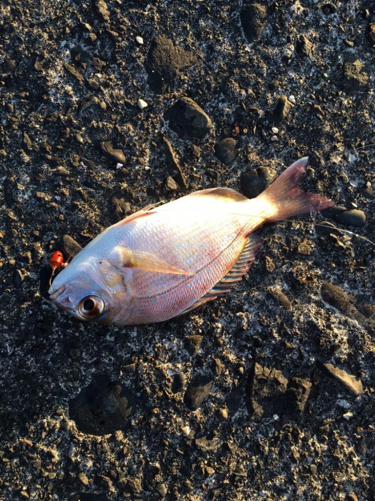 オオモンハタ祭り