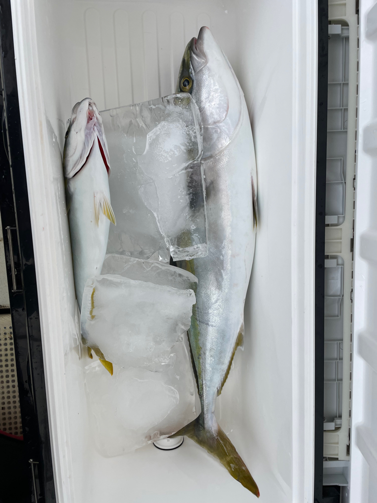 明石沖ジギング