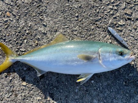 相変わらずの、